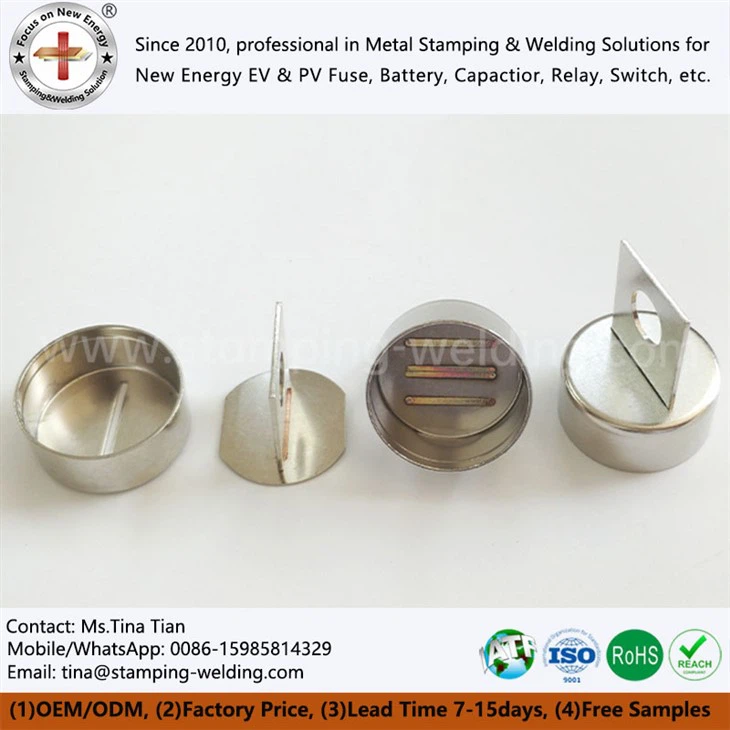 Fuse End Blades For Electrical Vehicle