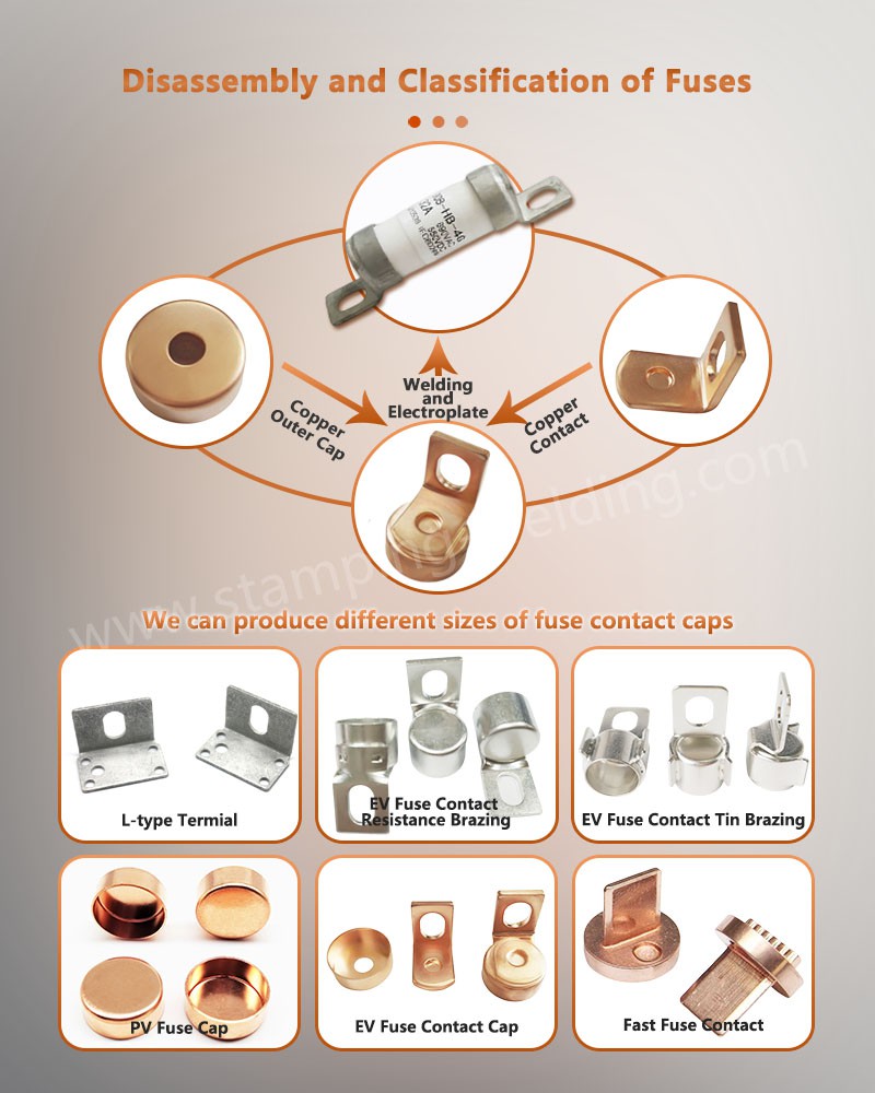Disassembly and Classification of Fuses Disassembly and Classification of Fuses